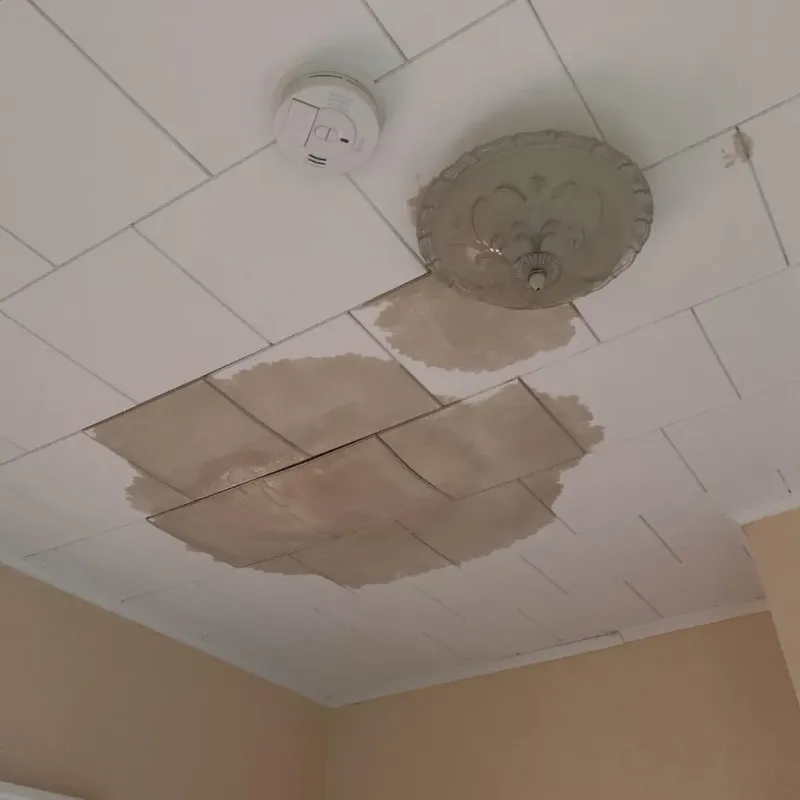 Ceiling Water Damage Repair in Argyle, TX